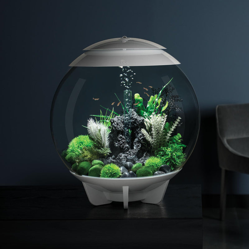 biOrb Halo 60L White Aquarium with MCR LED Lighting