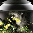 biOrb AIR 60L Terrariums