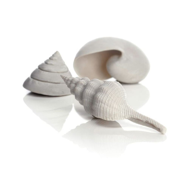 Oase biOrb Ornament Assorted Sea Shells