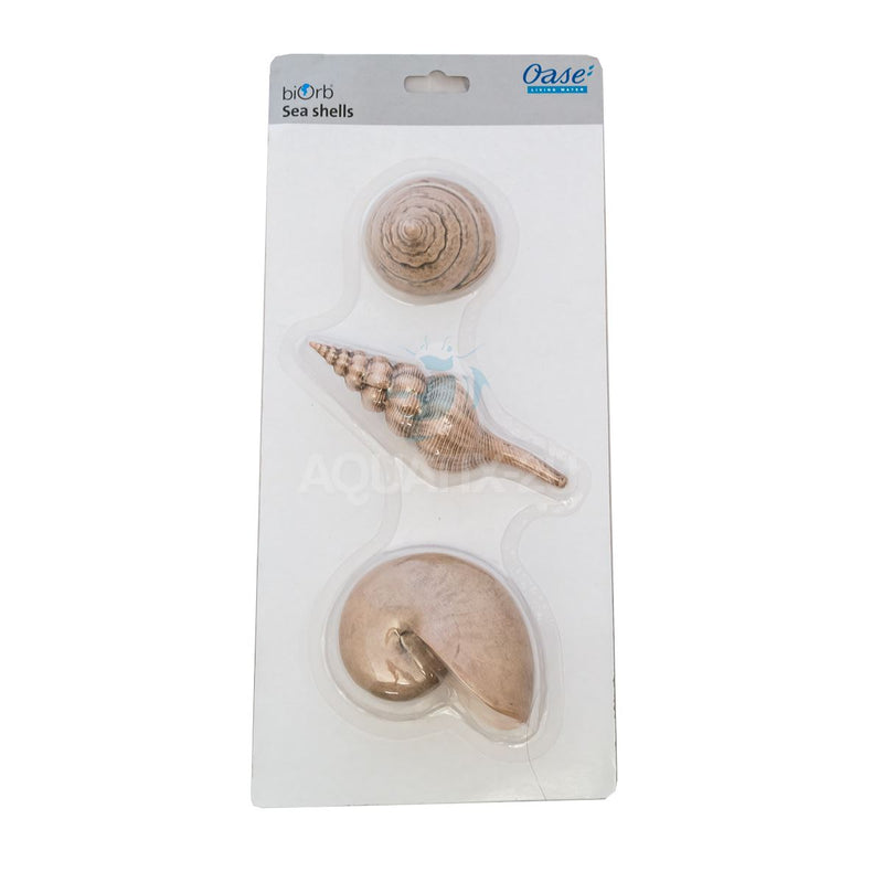 Oase biOrb Ornament Assorted Sea Shells