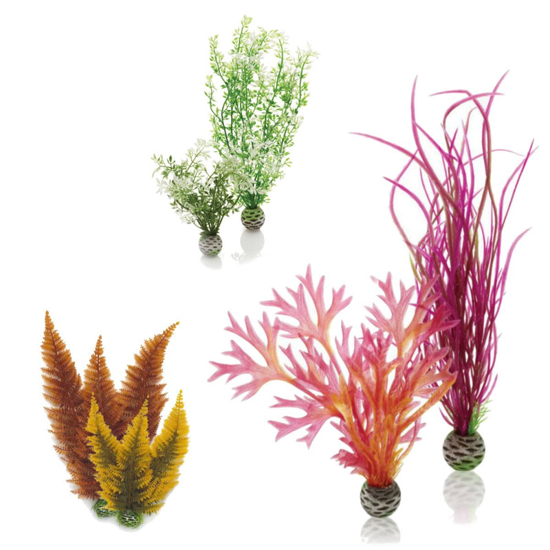 Oase biOrb Aquarium Easy Plant Packs