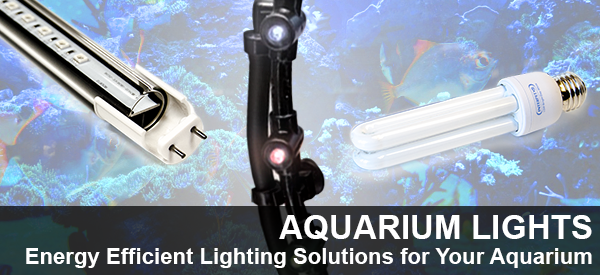 Save Energy with LED Aquarium Lights