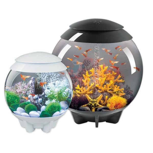 Upgrading Your BiOrb Aquarium