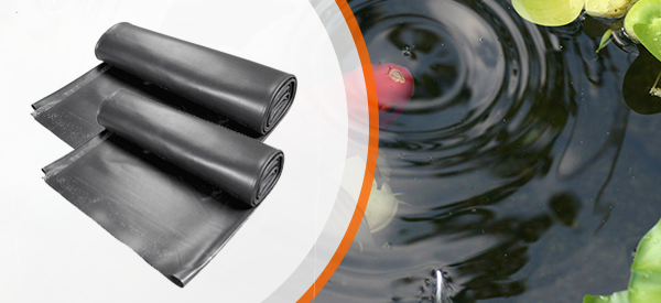 Create the Perfect Foundation for Your Pond