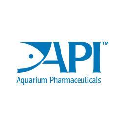 API Logo