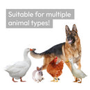 KCT 4x3m Walk In Galvanised Chicken Pet Run