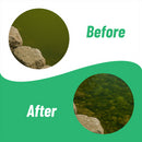 Banish BioActive Greenwater Pond Water Treatment