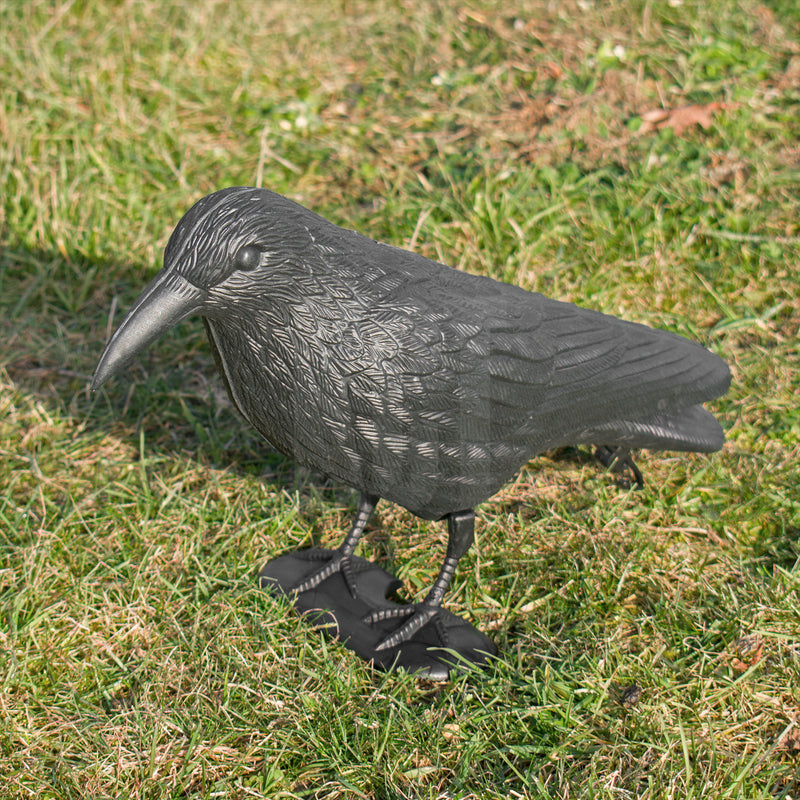 KCT Decoy Crow Garden Bird Scarer