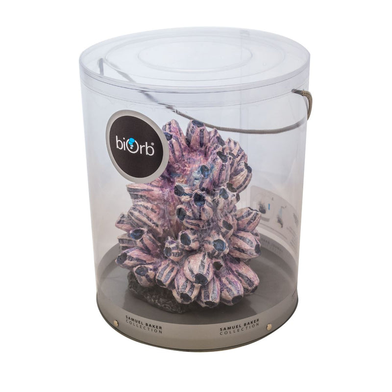 Oase biOrb Medium Barnacle Cluster Ornament