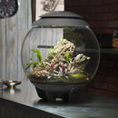 biOrb AIR 60L Terrariums