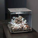Oase biOrb Aquarium Ornament Medium Natural Coral with SeaShells