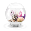 BiOrb Halo 15L Aquarium White with MCR Lighting