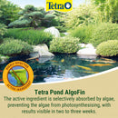 Tetra Pond Algofin Treatment