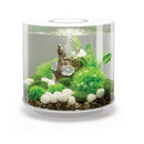 biOrb Tube 15L White Aquarium Fish Tank with LED lighting