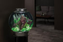 biOrb Classic 105L Silver Aquarium with MCR LED Lighting