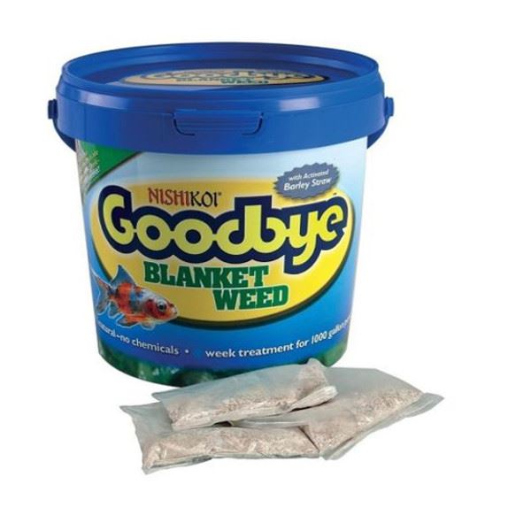 Nishikoi Goodbye Blanketweed