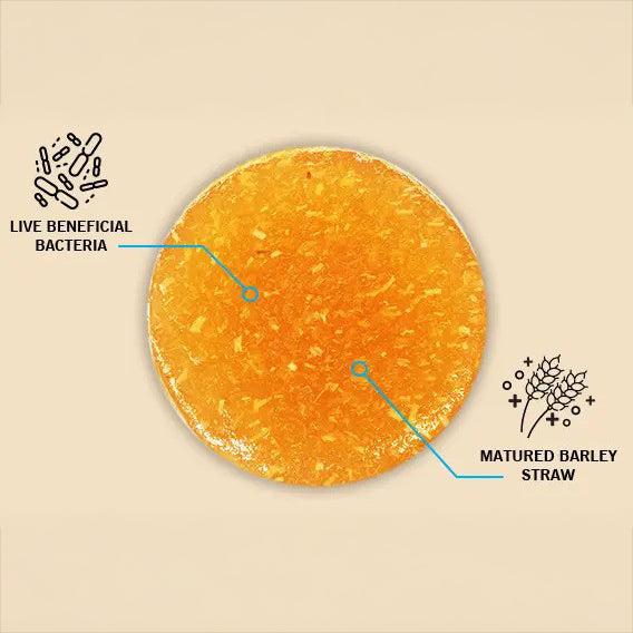 Evolution Aqua Pure Bale in a Bottle Pond Water Treatment