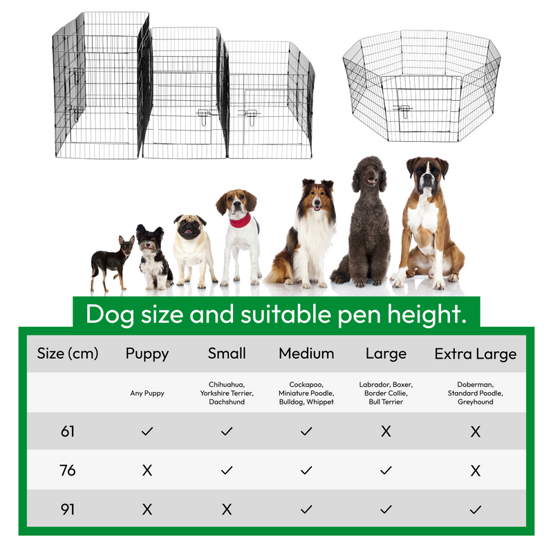 Cockapoo Chart Cockapoo Weight Chart