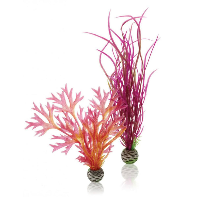 Oase biOrb Aquarium Easy Plant Packs