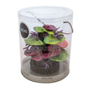 Oase biOrb Coral Ridge Sculpture Aquarium Decoration