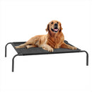 KCT Portable Elevated Pet Dog Beds