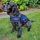 No Pull Padded Dog Harnesses