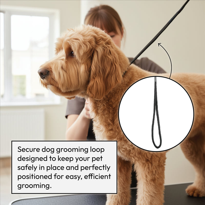 KCT Standard Hydraulic Adjustable Pet Grooming Table