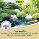 TetraPond Medifin Treatment