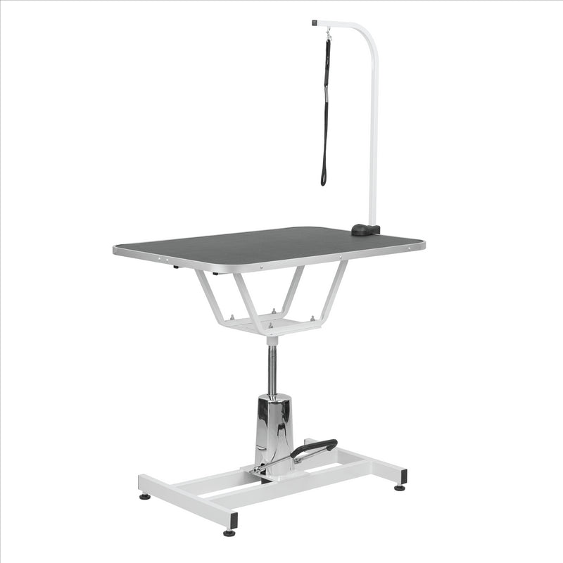 KCT Standard Hydraulic Adjustable Pet Grooming Table