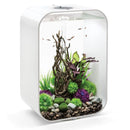 biOrb White Life Aquarium 60L - MCR Light