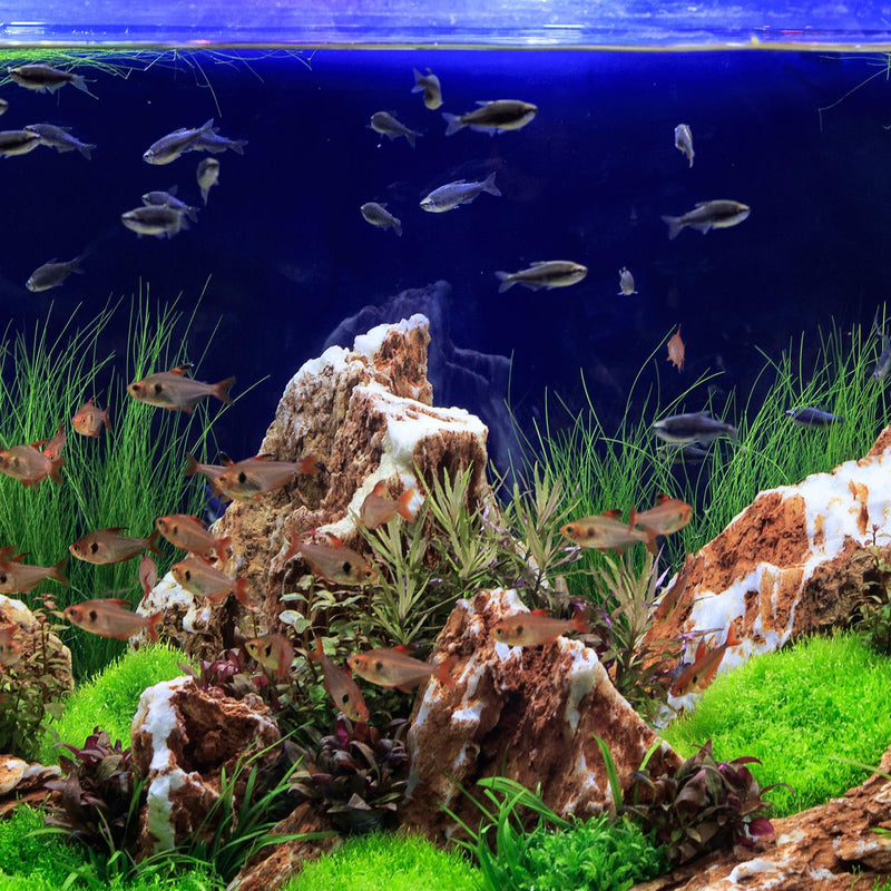 Tetra Aquarium Complete Substrate