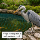 Pisces Pond Protection Netting with Pegs