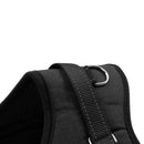 No Pull Padded Dog Harnesses