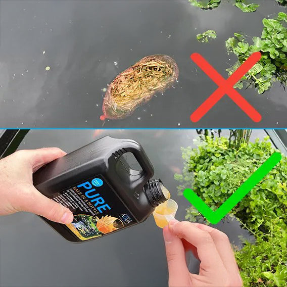 Evolution Aqua Pure Bale in a Bottle Pond Water Treatment