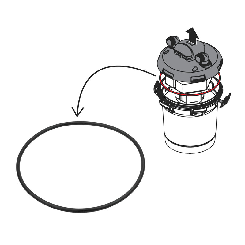 Oase Replacement O-Ring BioPress 4000 – Part 14543