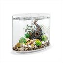 biOrb Loop 30L White MCR Aquariums