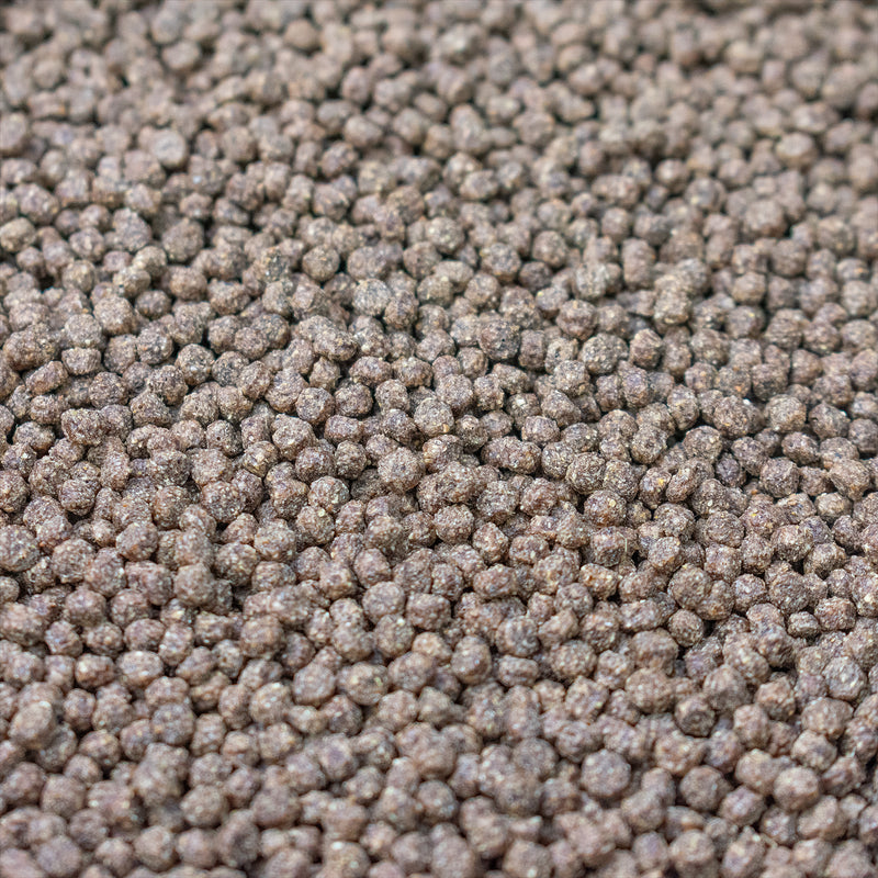 Evolution Aqua Premier Pond Pellet Fish Food