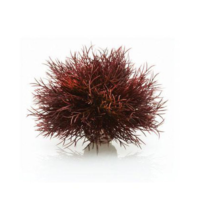 biOrb Sea Lily Aquarium Decorations