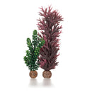 Oase biOrb Seapearls and Kelp Aquarium Decoration