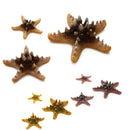 Oase biOrb Sea Stars 3 Pack Aquarium Decoration