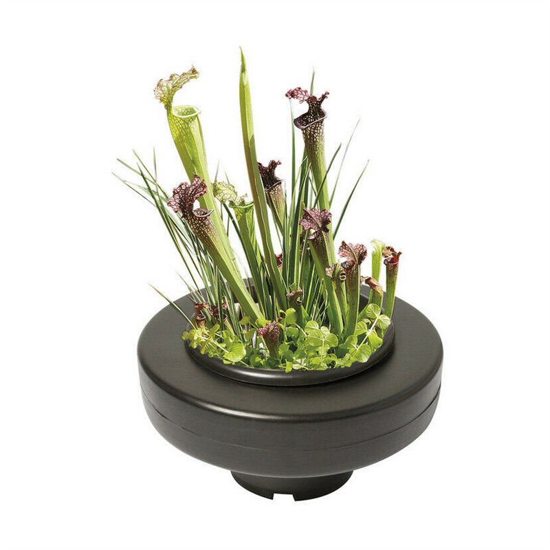 floating pond plant pots Superfish Floating Pond Baskets