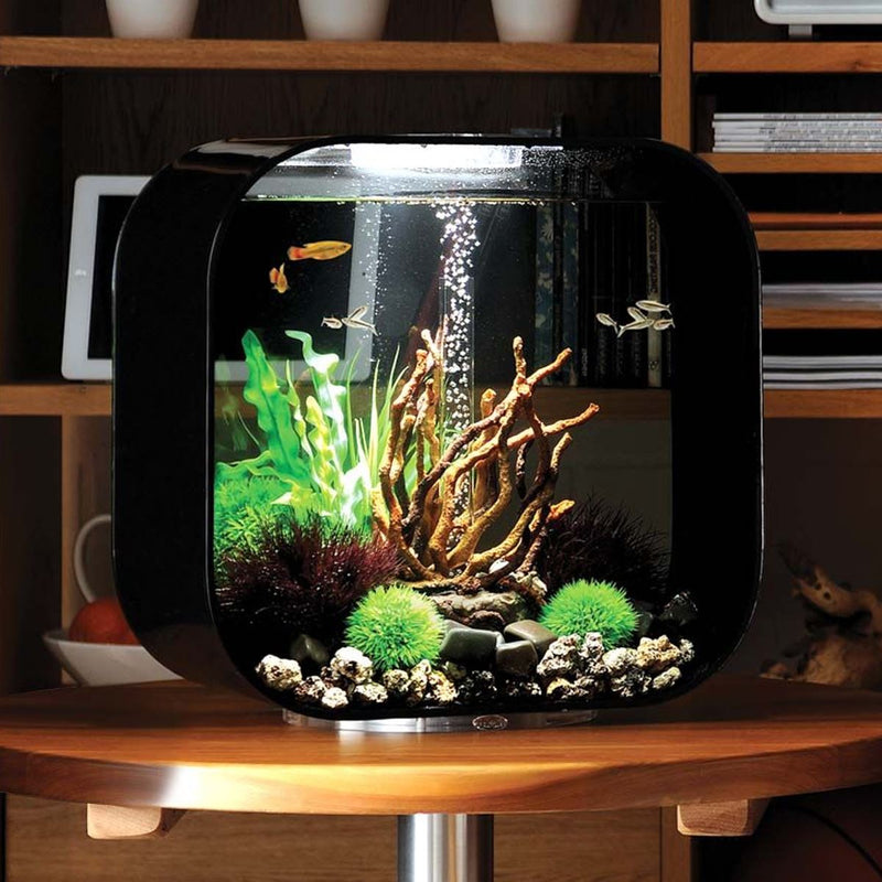 BiOrb Black Life Aquarium 30L - MCR Light