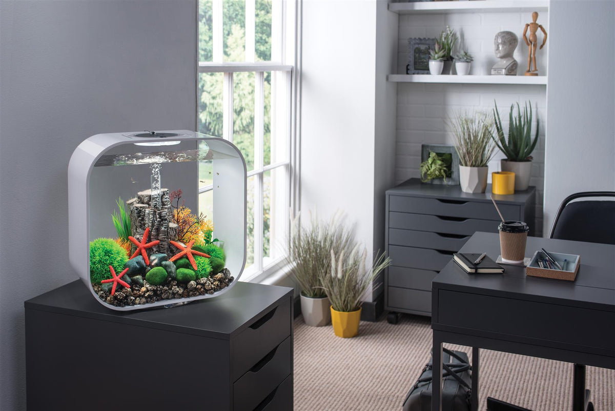 BiOrb White Life Aquarium 30L - MCR Light