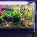 Evolution Aqua Aquascaper Inlet and Outlet Glass Pipework Set