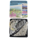 Moerings Complete Waterplant Kit