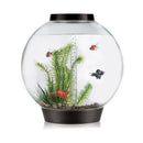 biOrb Classic 105L Black Aquarium with MCR LED Lighting
