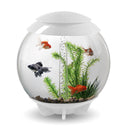 biOrb Halo 30L Aquarium White with LED Lighting