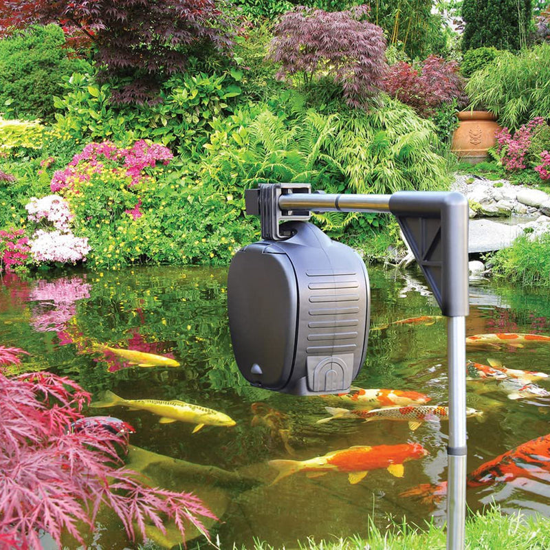 Hozelock Automatic Fish Feeder