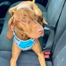 Henry Wag Medium Dog Harness