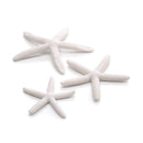 biOrb Starfish Set Aquarium Decorations